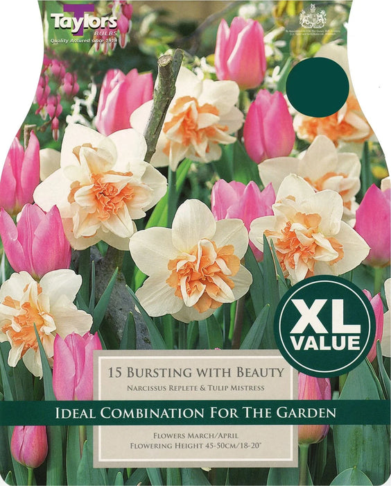 Taylors Classic Combination 'Bursting With Beauty' (15 Pack)