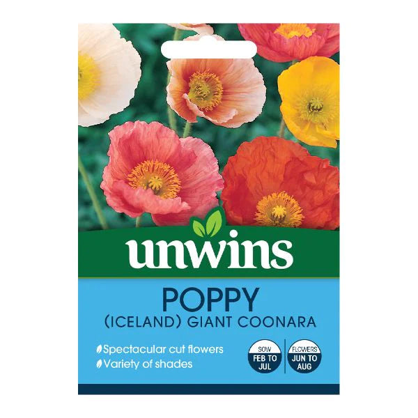 Poppy Iceland Giant Coonara