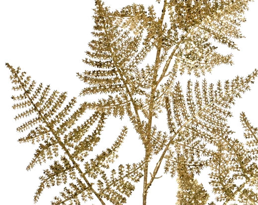 Decorative Asparagus Branch | Gold (87 cm)