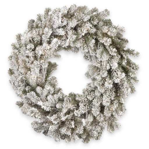 24 Inch Snowy Sheffield Spruce Wreath