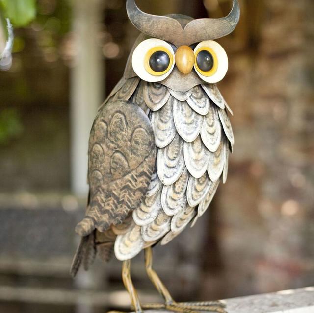 La Hacienda Wise Owl