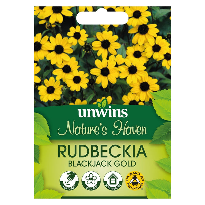 Natures Haven Rudbeckia Blackjack Gold