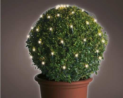 Lumineo Durawise LED Box Hedge Lights With Twinkle Effect| Battery Operated (35 cm | 60 LED)