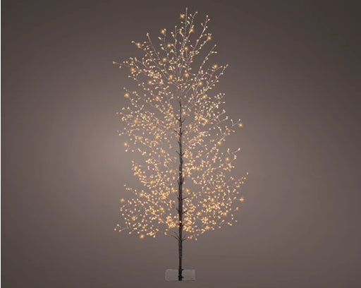 Lumineo Micro LED Outdoor Birch Tree - Black/Classic Warm, D60cm x H.150cm