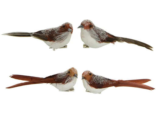 Christmas Bird Clip Decoration Brown (H.5.5cm) - Set of 4 Assorted