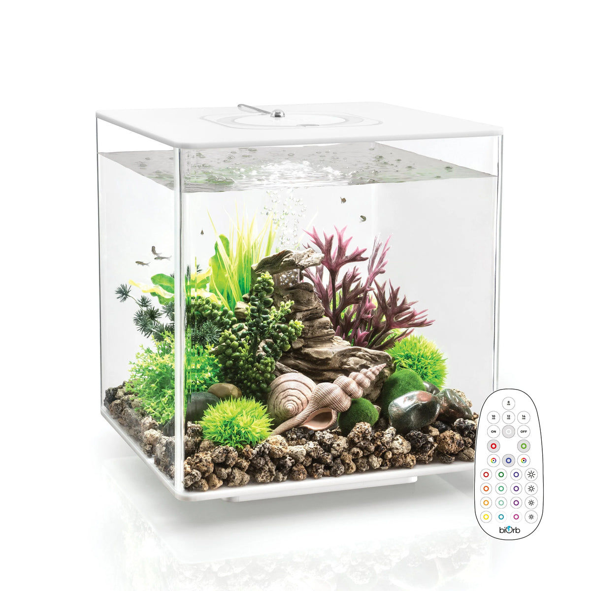 Ciano Filtration Pack S 3 months Aquarium Line - Aquarium Store