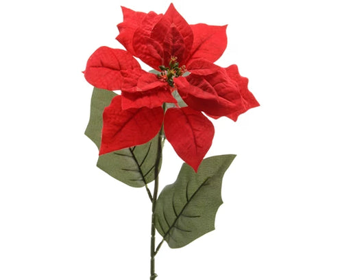 Christmas Poinsettia Stem Red ( L.22cm W.23cm H.67cm)