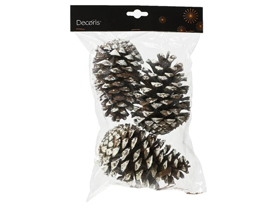 Decorative Pinecone With Natural White Tips (15x2 cm)