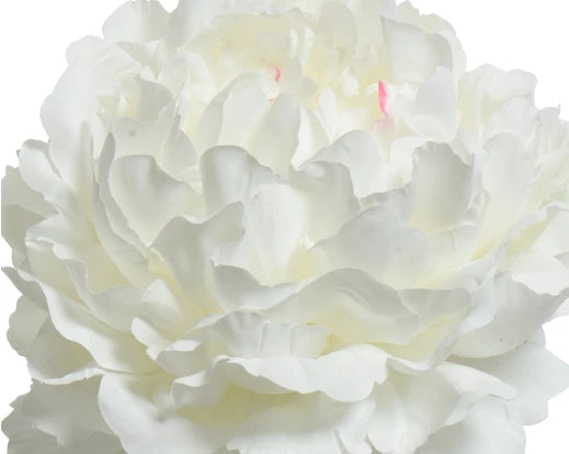 Faux Peony On Stem - Cream (72x34cm)