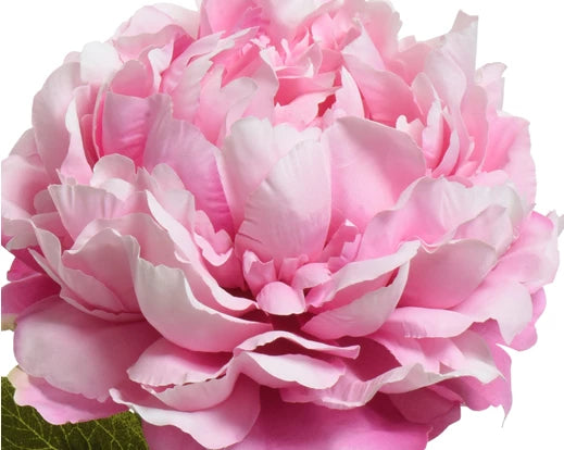 Faux Peony On Stem - Pink (72x34cm)