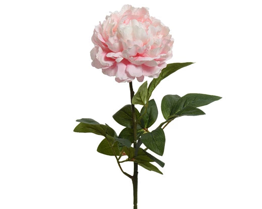 Faux Peony On Stem - Soft Pink (72x34cm)