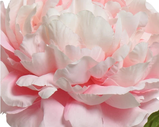 Faux Peony On Stem - Soft Pink (72x34cm)