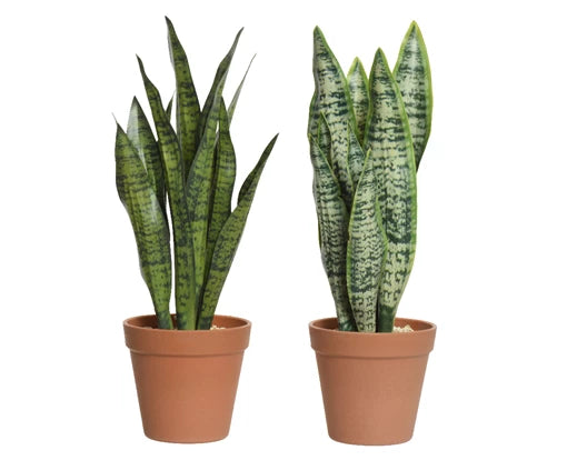 Faux Sansevieria Plant (37x11cm)