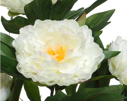 Faux Peony Rose In Pot - White