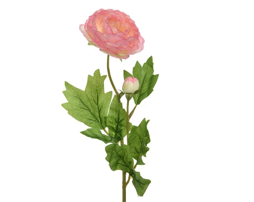 Decorative Ranunculus Flower On Steam - Soft Pink