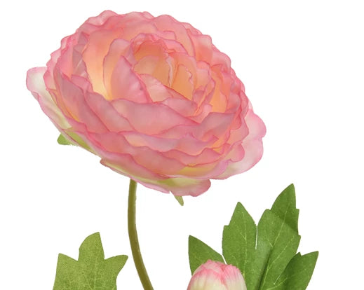 Decorative Ranunculus Flower On Steam - Soft Pink