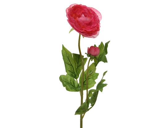 Decorative Ranunculus Flower On Steam - Soft Pink