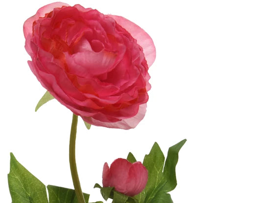 Decorative Ranunculus Flower On Steam - Soft Pink