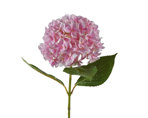 Faux Hydrangea Stem - Pink (67x25cm)