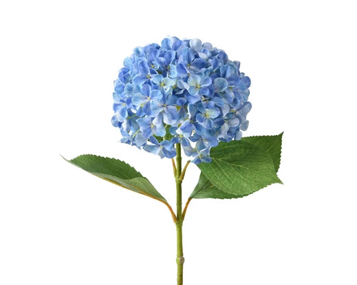 Faux Hydrangea Stem - Blue (67x25cm)