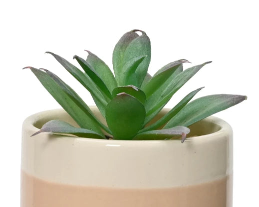 Artificial Succulent In Ceramic Pot (12x6cm)