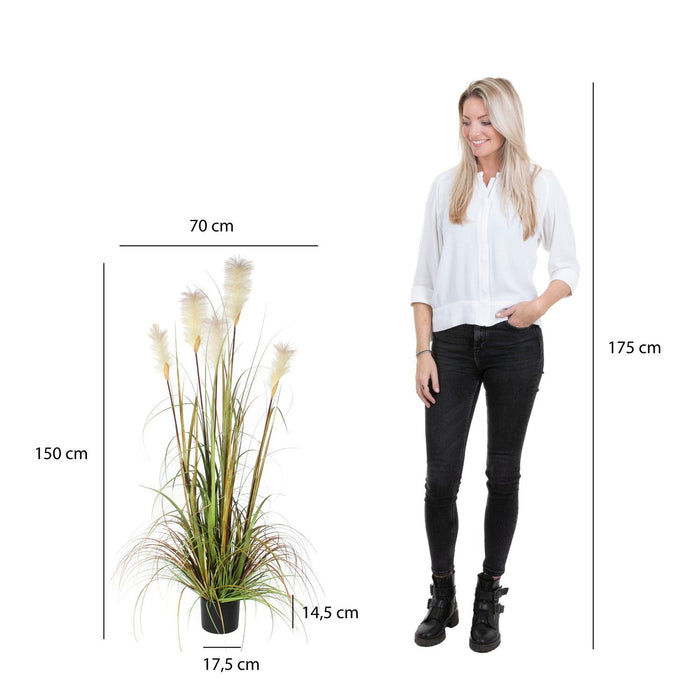 Artificial Plume Grass Foxtail White Pot (H150x70cm)