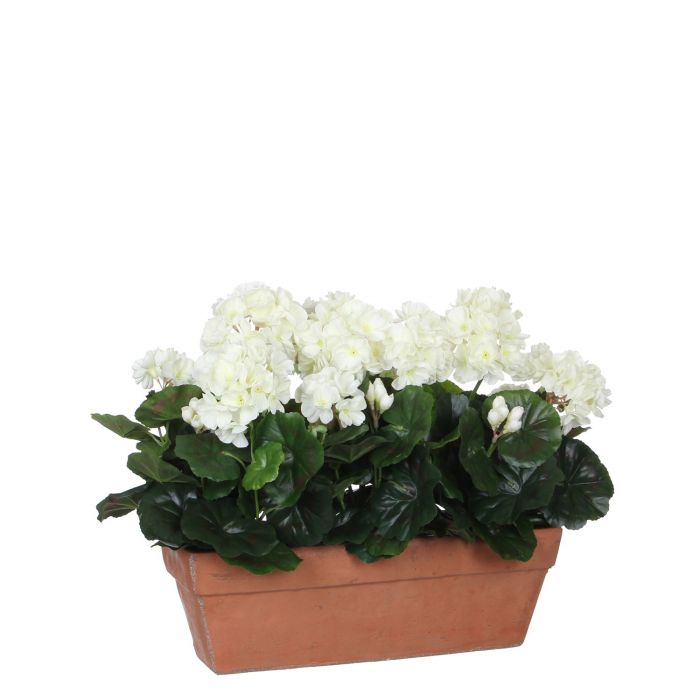 Artificial Geranium Plant in Balcony Tray - White ( L39 x W13 x H40 cm.)