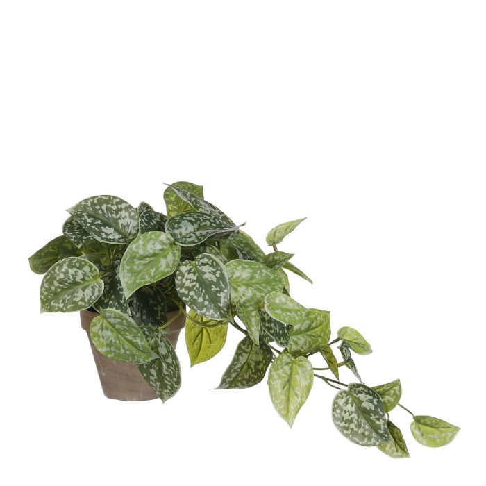 Artificial Scindapsus Plant in Plant Pot