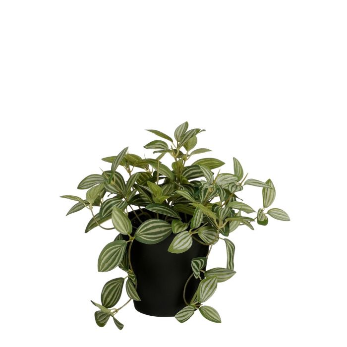 Artificial Decorative Tradescantia In Pot - Green (H16XD16CM)