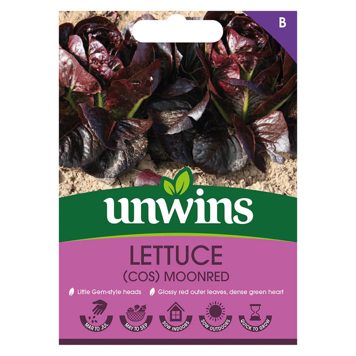 Lettuce Moonred Little Gem Red Vegetable