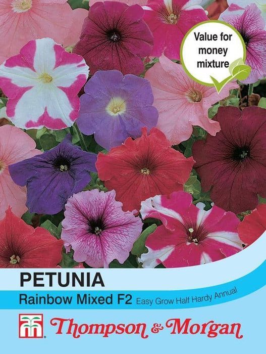 Petunia 'Rainbow Mixed' F2 Hybrid