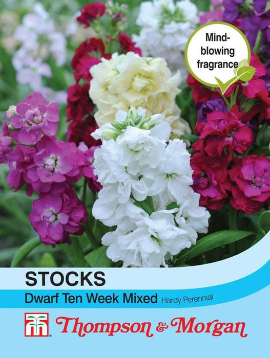 Stocks 'Dwarf Ten Week Mix'