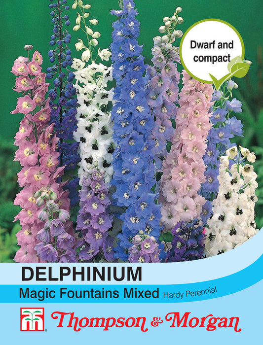 Delphinium Magic Fountains