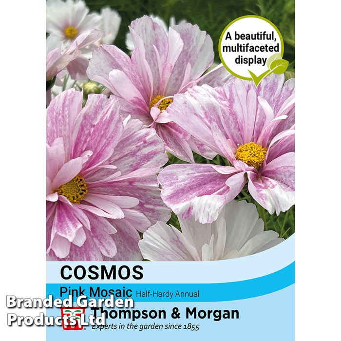 Cosmos Pink Mosaic