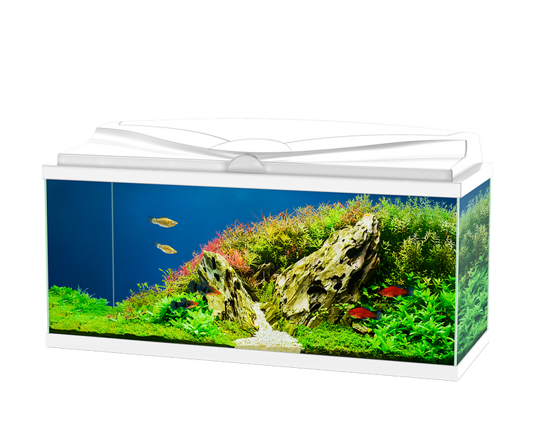 Ciano Aqua 20 Classic White With Filter 17 Litre — Newlands Garden Centre