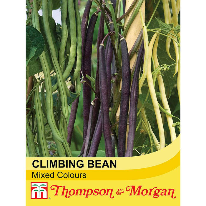 Climbing Bean Mix