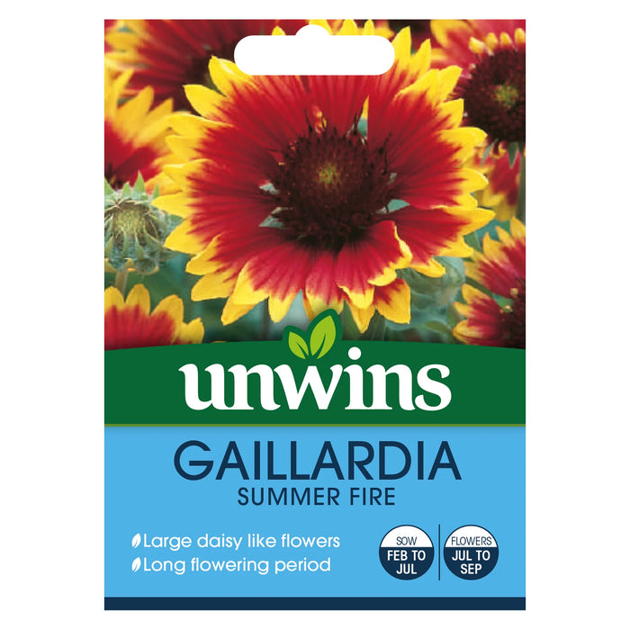 Gaillardia Summer Fire