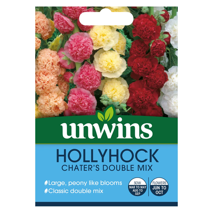 Hollyhock Chaters Double