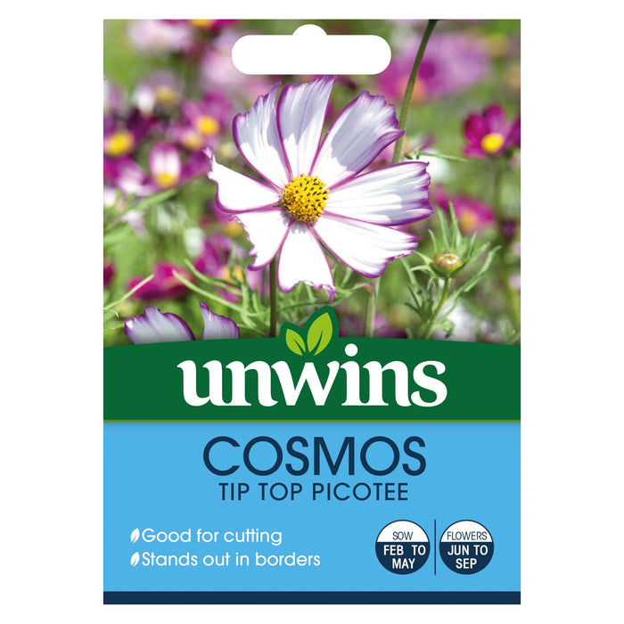 Cosmos Tip Top Picotee