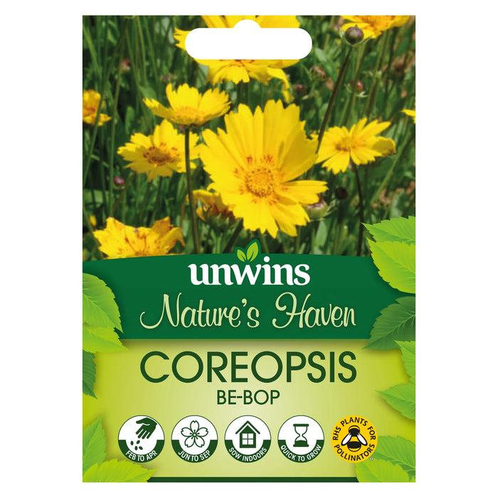 Nature's Haven Coreopsis Be-Bop