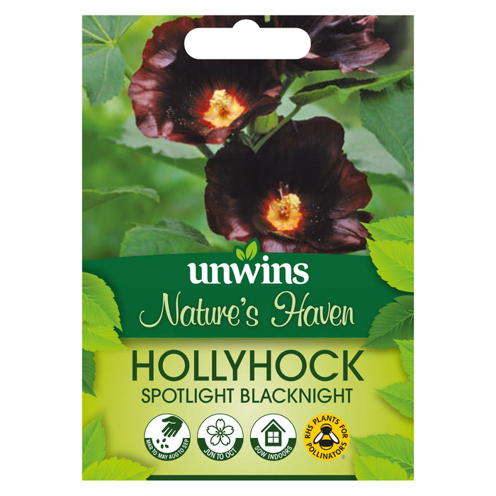 Natures Haven Hollyhock Spotlight Blacknight