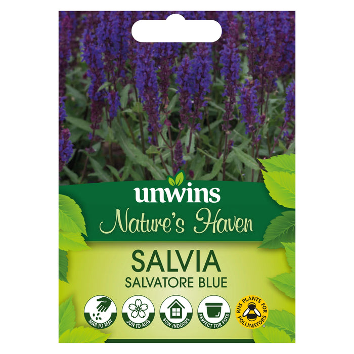 Natures Haven Salvia Salvatore Blue