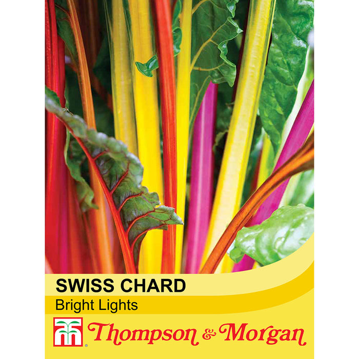 Swiss Chard 'Bright Lights'