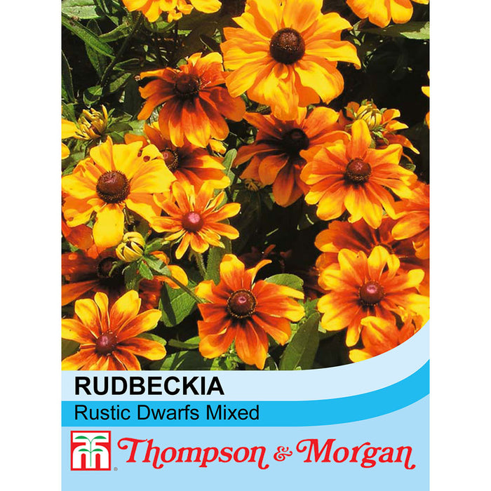 Rudbeckia 'Rustic Dwarfs Mix'