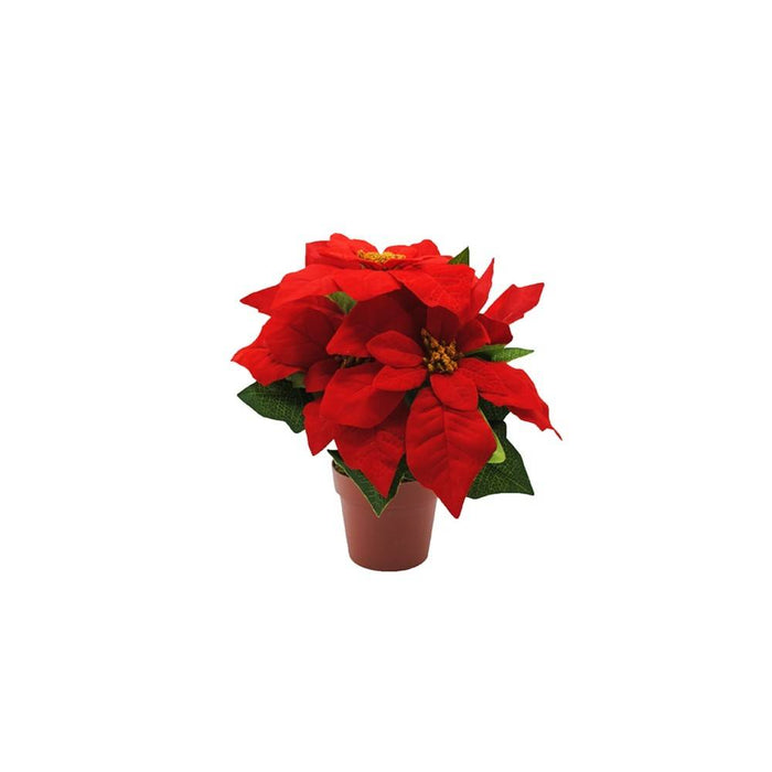 Christmas Poinsettia in Pot Red 45x33x28cm