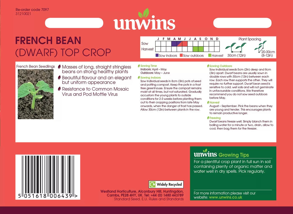 French Bean (Dwarf) Top Crop