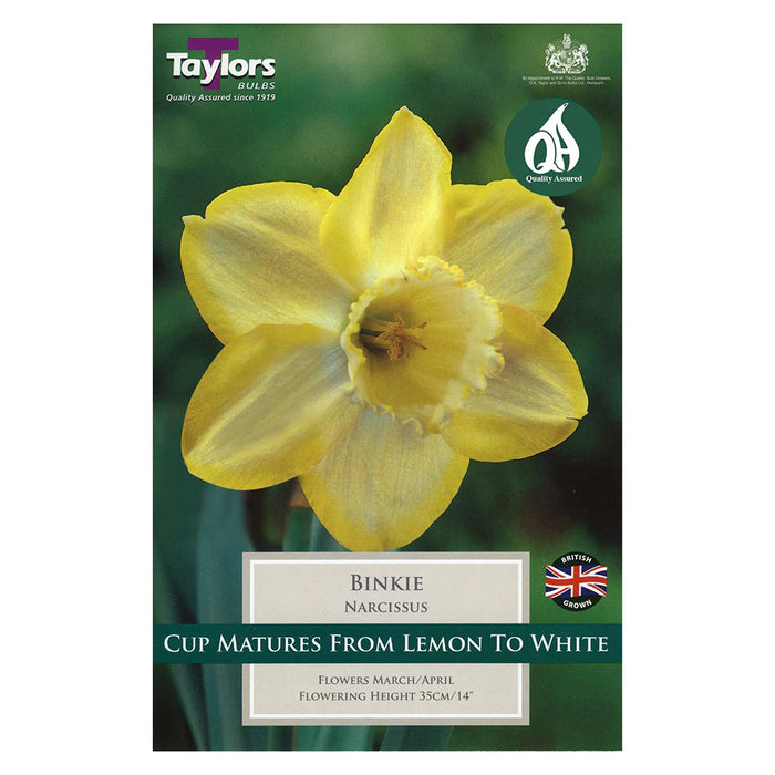 Daffodils Narcissus 'Binkie' (1.5kg Carri-Pack)