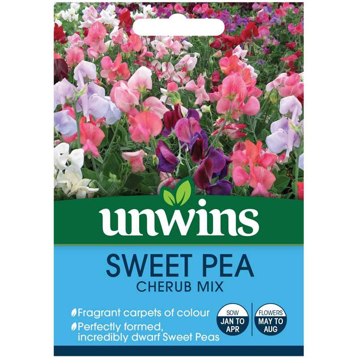 Sweet Pea Cherub Mix