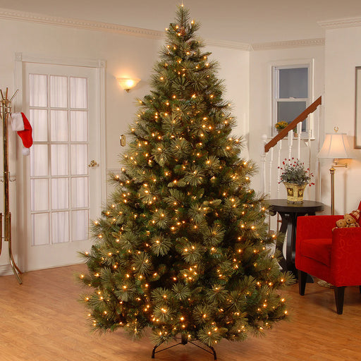 7.5 Foot Carolina Pine Pre-Lit Artificial Christmas Tree with 750 Warm White Lights