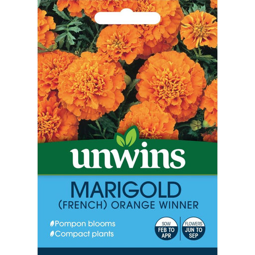 Marigold French Orange Winner